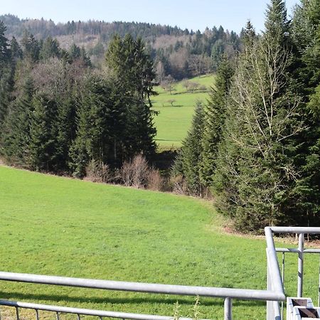 Ferienwohnung Im Dettenbachtal Waldkirch Exteriör bild