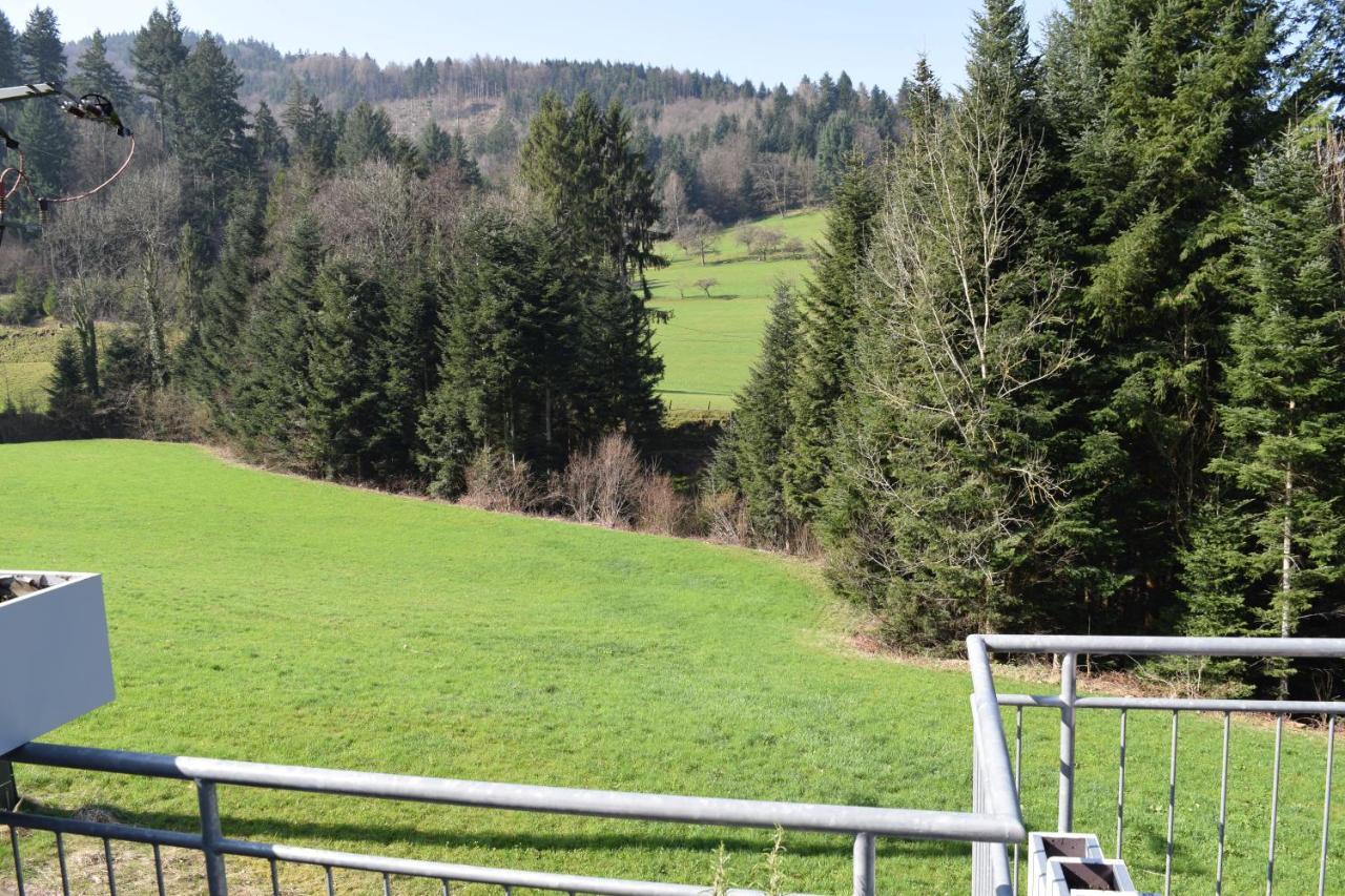 Ferienwohnung Im Dettenbachtal Waldkirch Exteriör bild