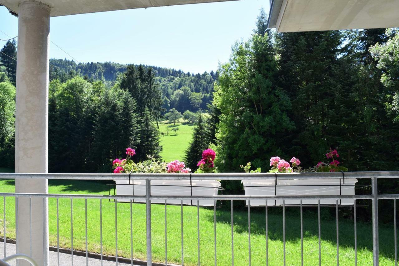 Ferienwohnung Im Dettenbachtal Waldkirch Exteriör bild