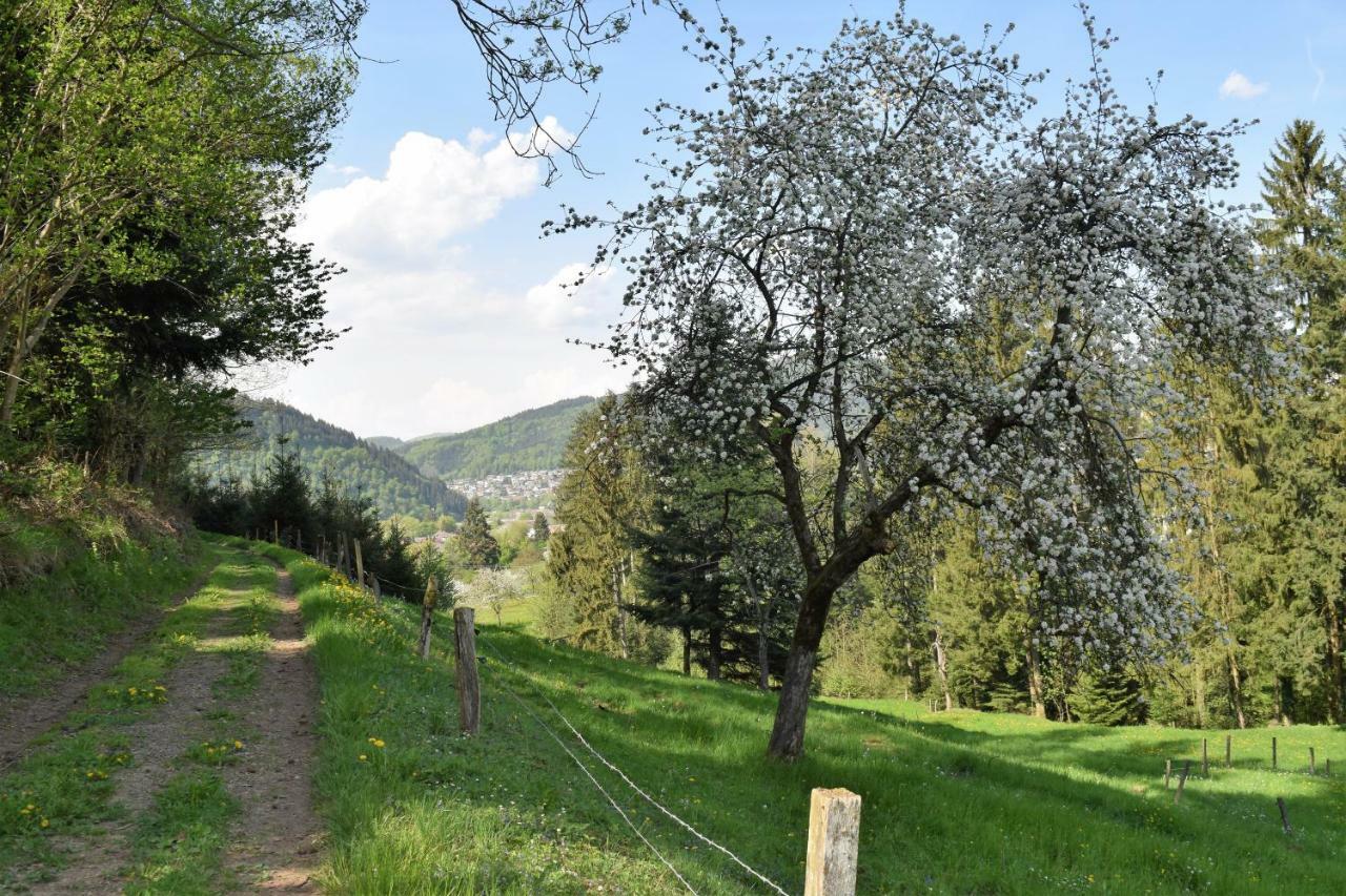 Ferienwohnung Im Dettenbachtal Waldkirch Exteriör bild