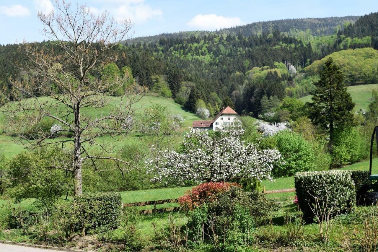 Ferienwohnung Im Dettenbachtal Waldkirch Exteriör bild